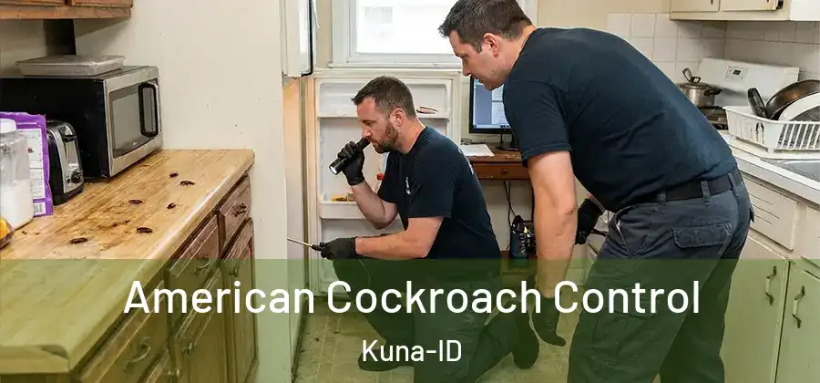  American Cockroach Control Kuna-ID