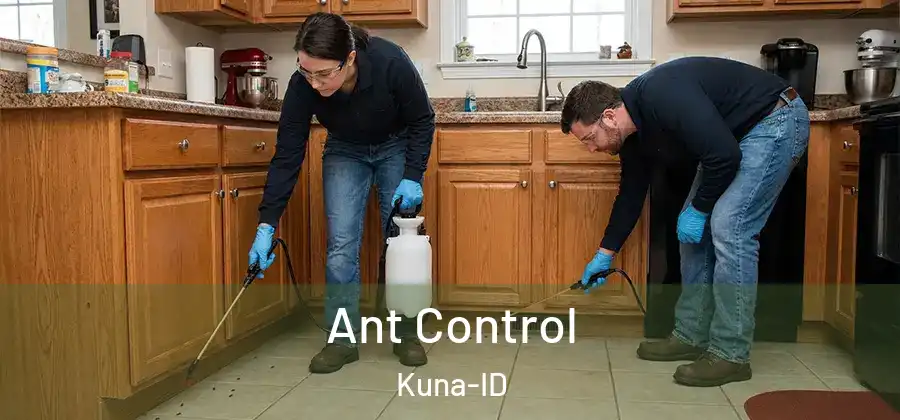  Ant Control Kuna-ID
