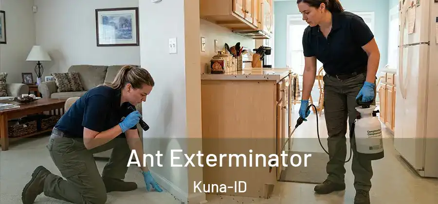 Ant Exterminator Kuna-ID
