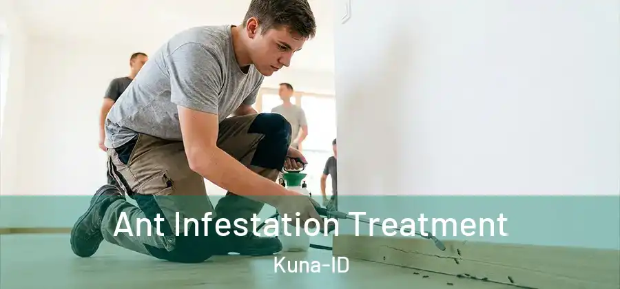  Ant Infestation Treatment Kuna-ID