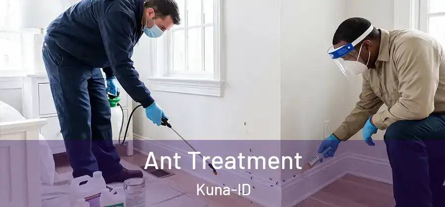 Ant Treatment Kuna-ID