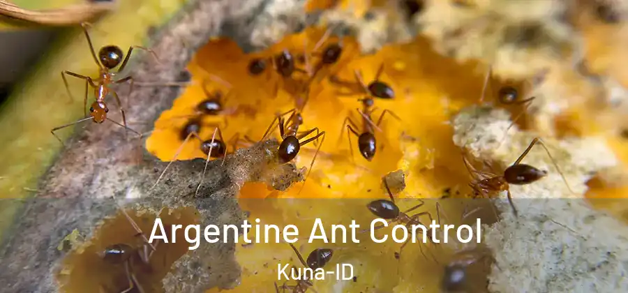  Argentine Ant Control Kuna-ID