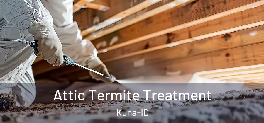  Attic Termite Treatment Kuna-ID