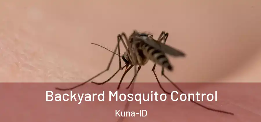  Backyard Mosquito Control Kuna-ID