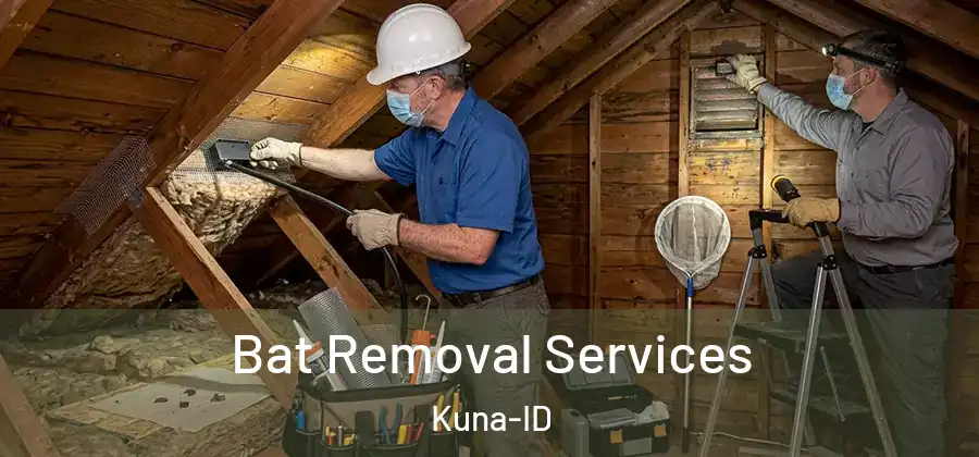  Bat Removal Services Kuna-ID