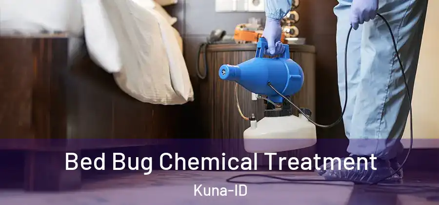 Bed Bug Chemical Treatment Kuna-ID