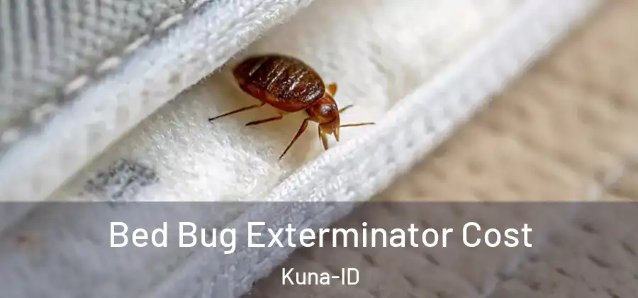 Bed Bug Exterminator Cost Kuna-ID