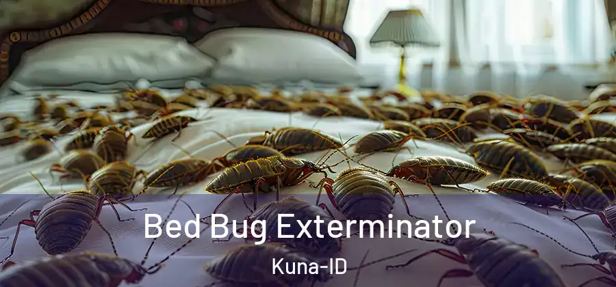 Bed Bug Exterminator Kuna-ID
