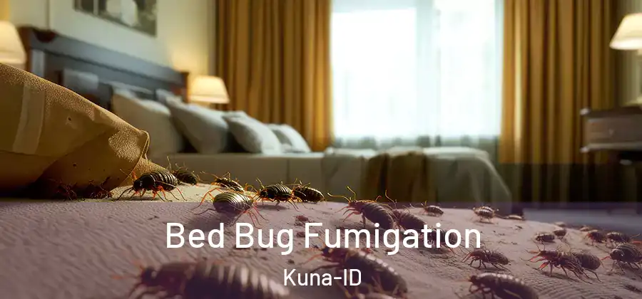 Bed Bug Fumigation Kuna-ID
