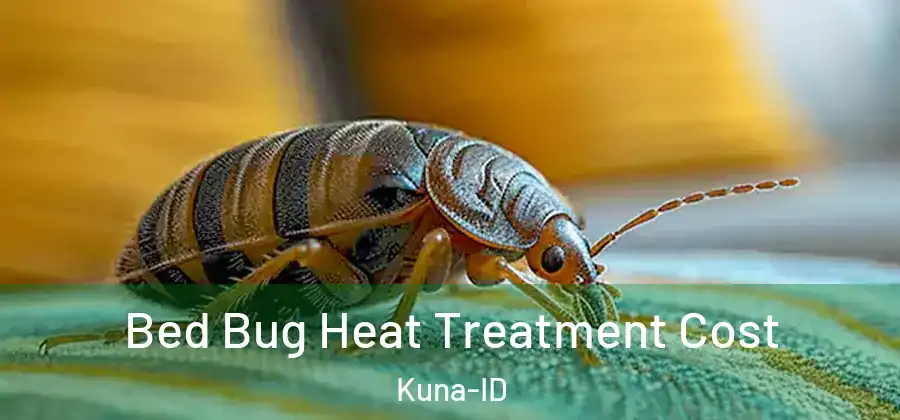 Bed Bug Heat Treatment Cost Kuna-ID