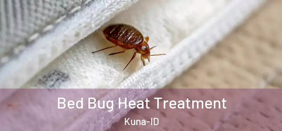  Bed Bug Heat Treatment Kuna-ID