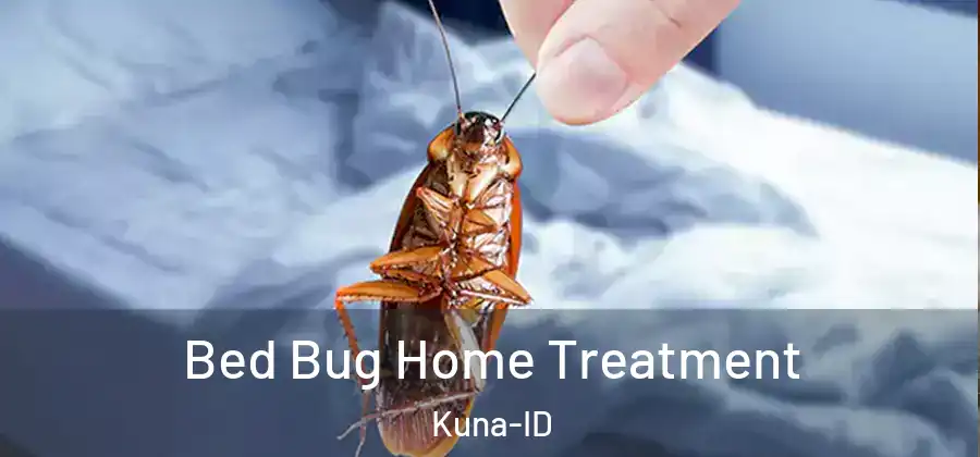 Bed Bug Home Treatment Kuna-ID