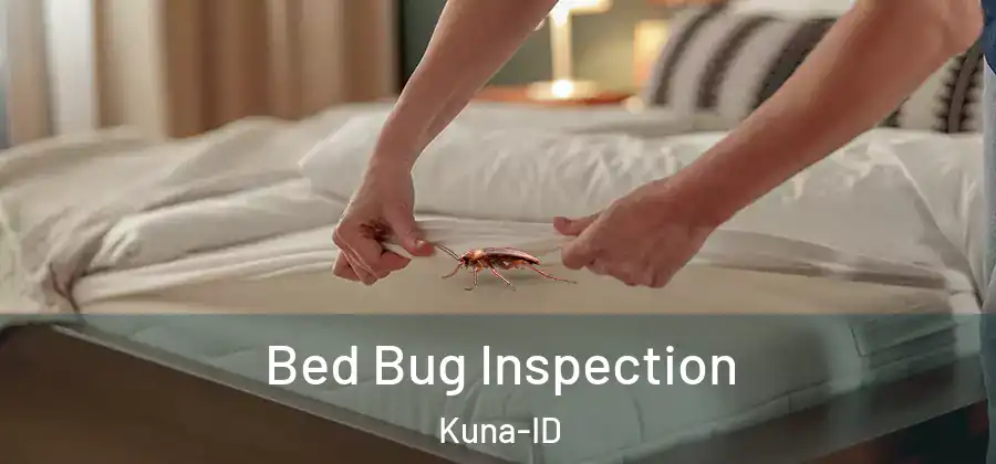 Bed Bug Inspection Kuna-ID
