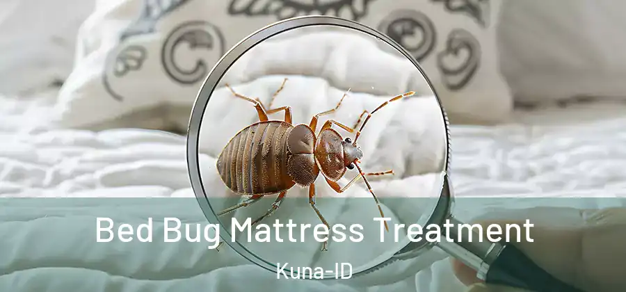  Bed Bug Mattress Treatment Kuna-ID