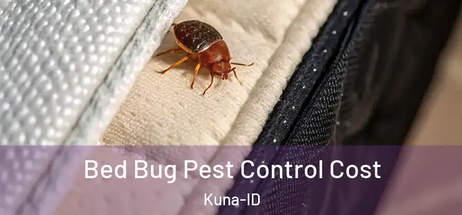 Bed Bug Pest Control Cost Kuna-ID