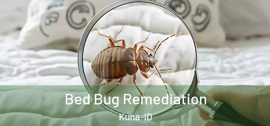  Bed Bug Remediation Kuna-ID