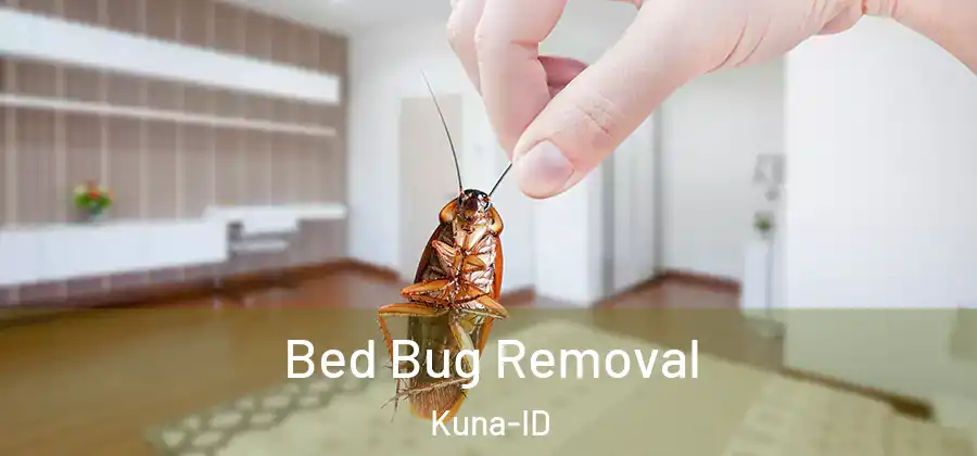  Bed Bug Removal Kuna-ID