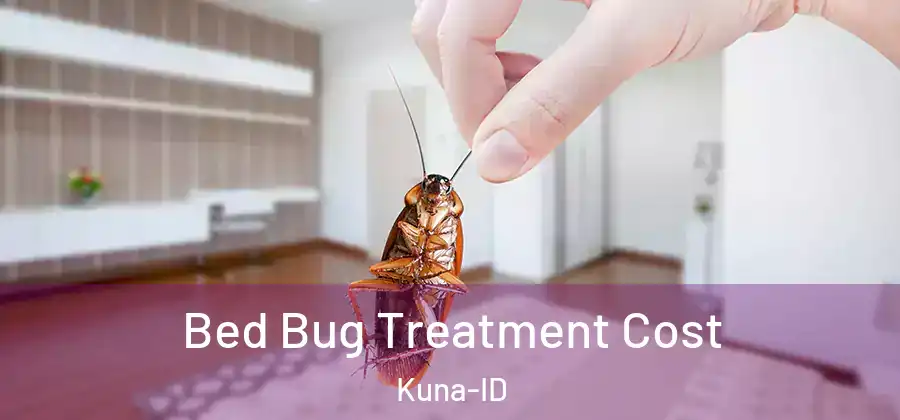  Bed Bug Treatment Cost Kuna-ID
