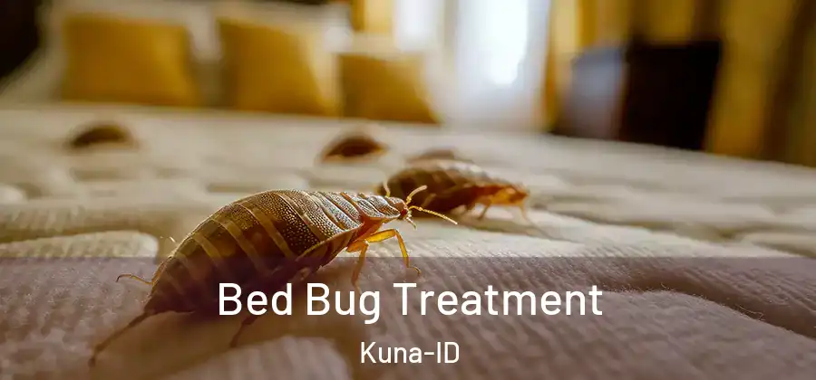Bed Bug Treatment Kuna-ID