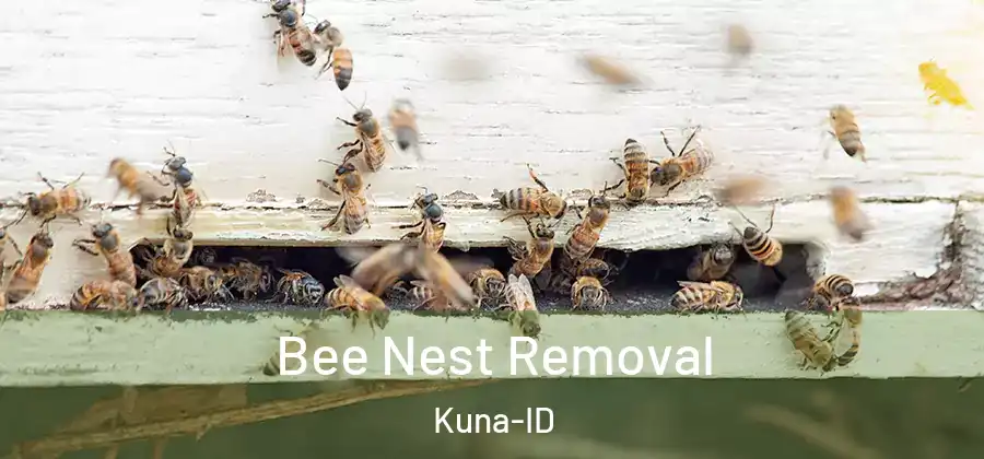 Bee Nest Removal Kuna-ID