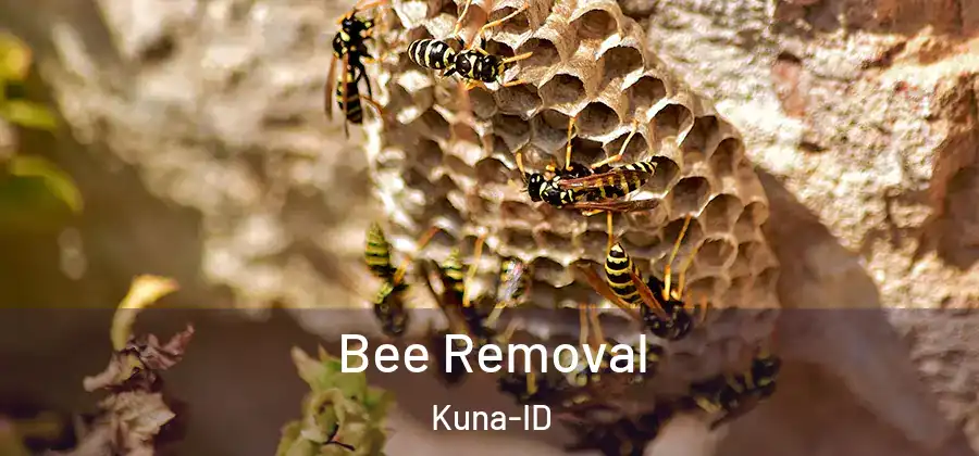  Bee Removal Kuna-ID