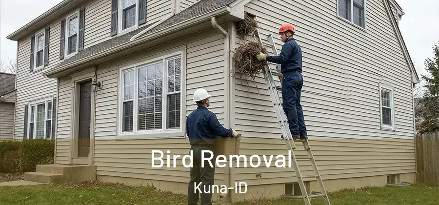  Bird Removal Kuna-ID