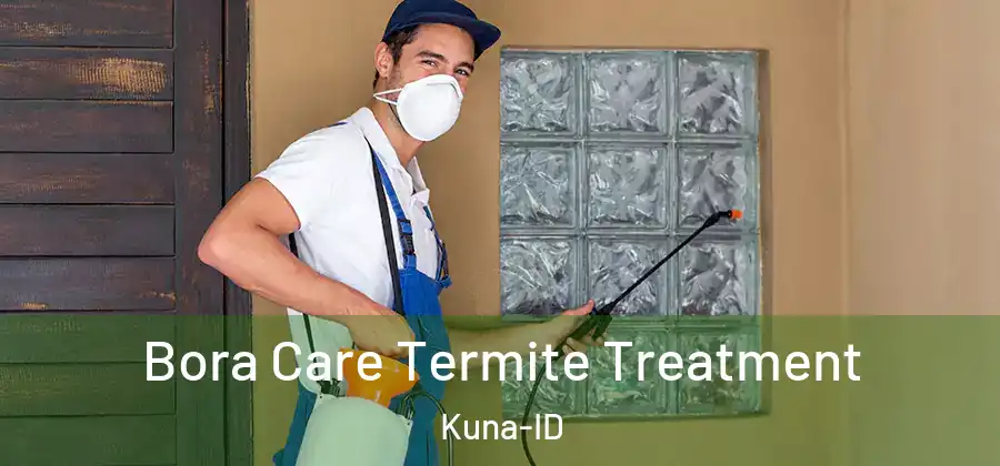 Bora Care Termite Treatment Kuna-ID