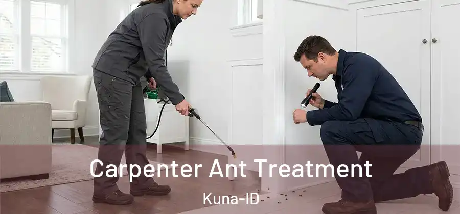  Carpenter Ant Treatment Kuna-ID