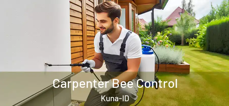 Carpenter Bee Control Kuna-ID