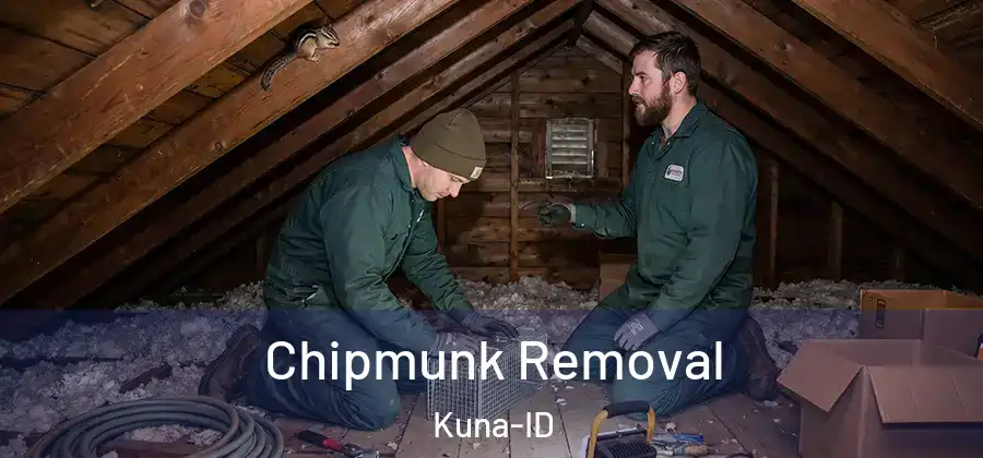 Chipmunk Removal Kuna-ID