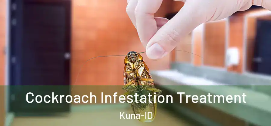 Cockroach Infestation Treatment Kuna-ID