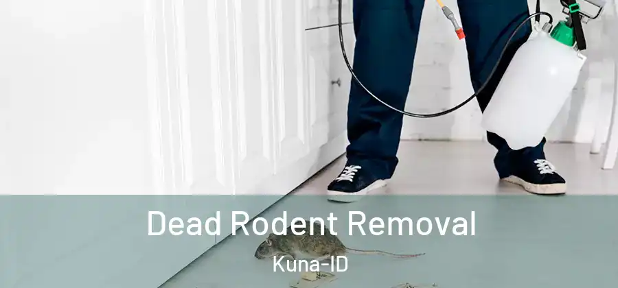  Dead Rodent Removal Kuna-ID