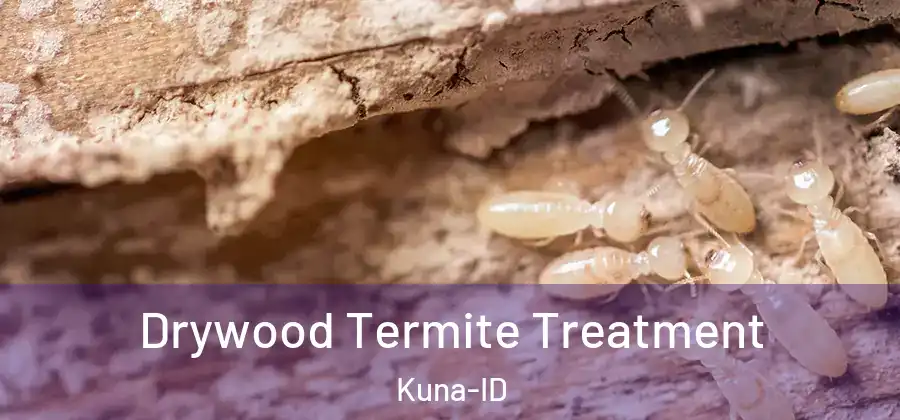  Drywood Termite Treatment Kuna-ID