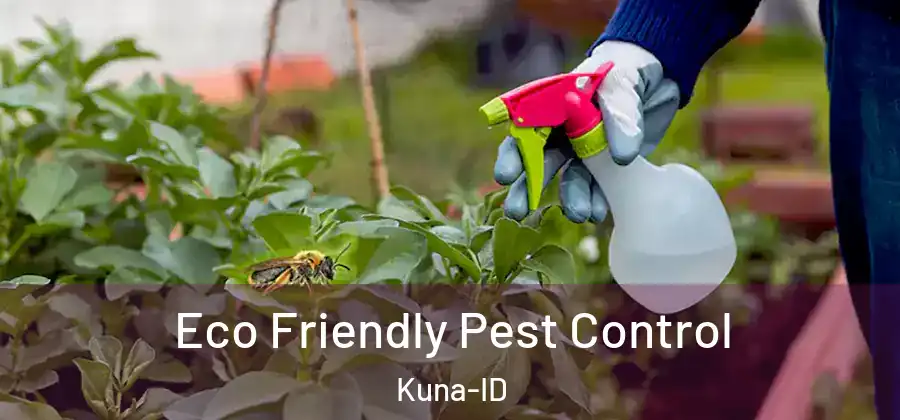  Eco Friendly Pest Control Kuna-ID