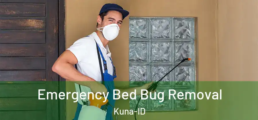  Emergency Bed Bug Removal Kuna-ID