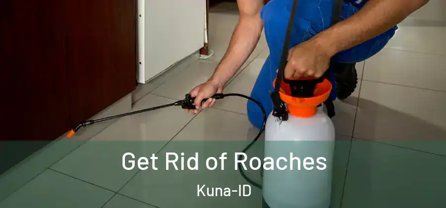  Get Rid of Roaches Kuna-ID