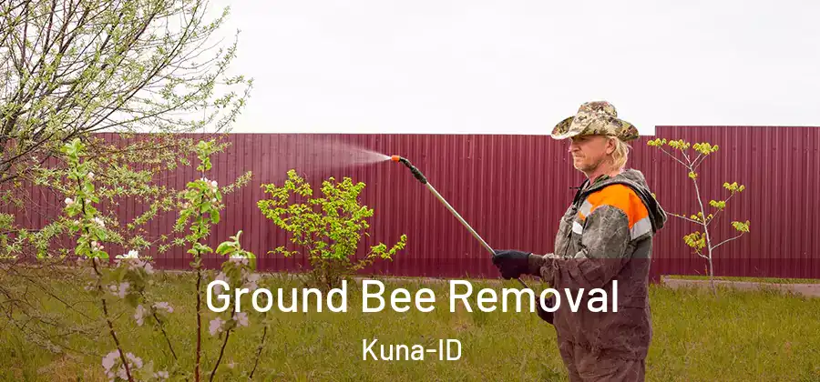 Ground Bee Removal Kuna-ID