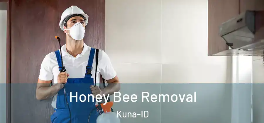 Honey Bee Removal Kuna-ID