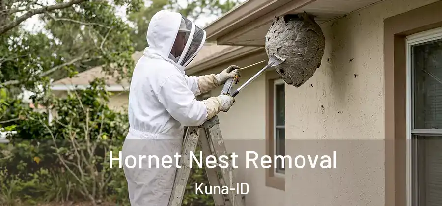  Hornet Nest Removal Kuna-ID