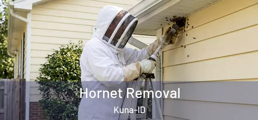  Hornet Removal Kuna-ID