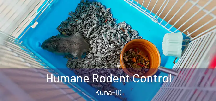  Humane Rodent Control Kuna-ID