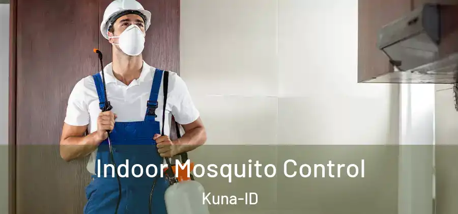 Indoor Mosquito Control Kuna-ID