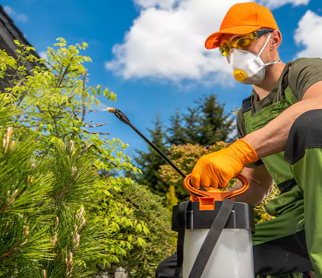 Your Mosquito Repellent Barrier Service in Kuna, ID