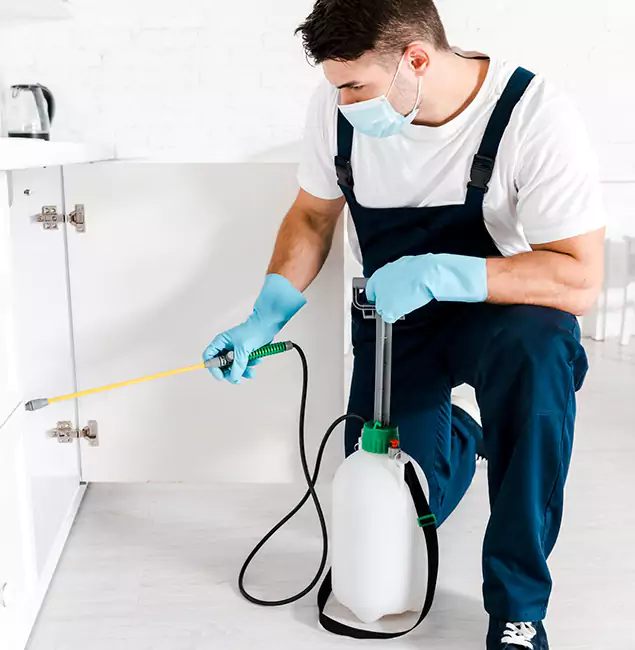 Why Choose Kuna Pest Control Pro for Termite Spot Treatment in Kuna, ID?