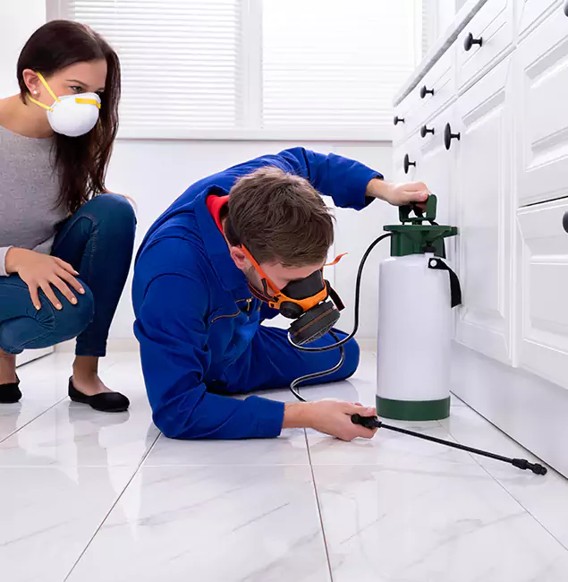 Why Choose Wood Termite Treatment by Kuna Pest Control Pro in Kuna, ID?