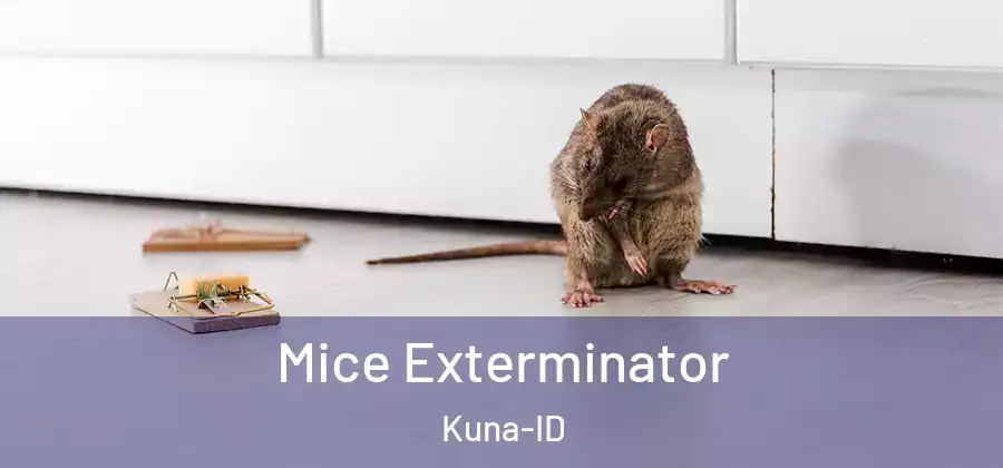 Mice Exterminator Kuna-ID