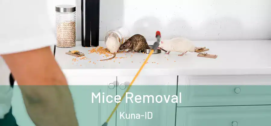  Mice Removal Kuna-ID