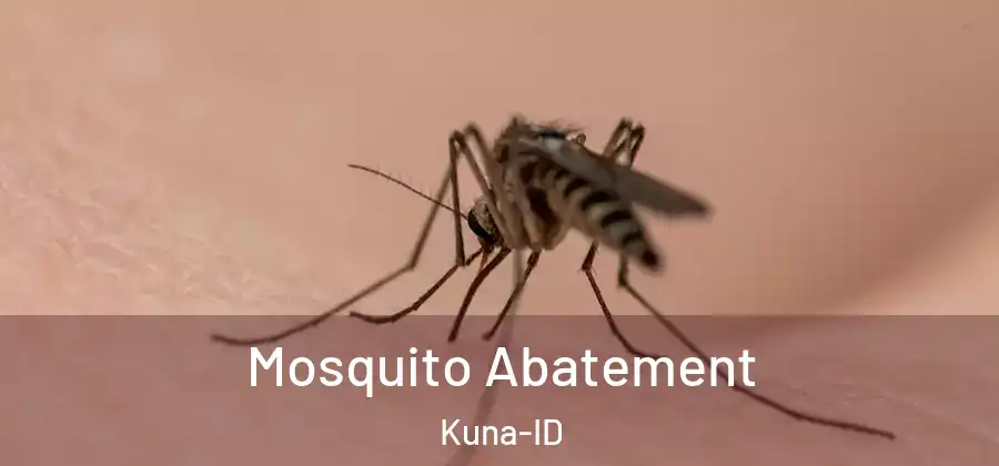 Mosquito Abatement Kuna-ID
