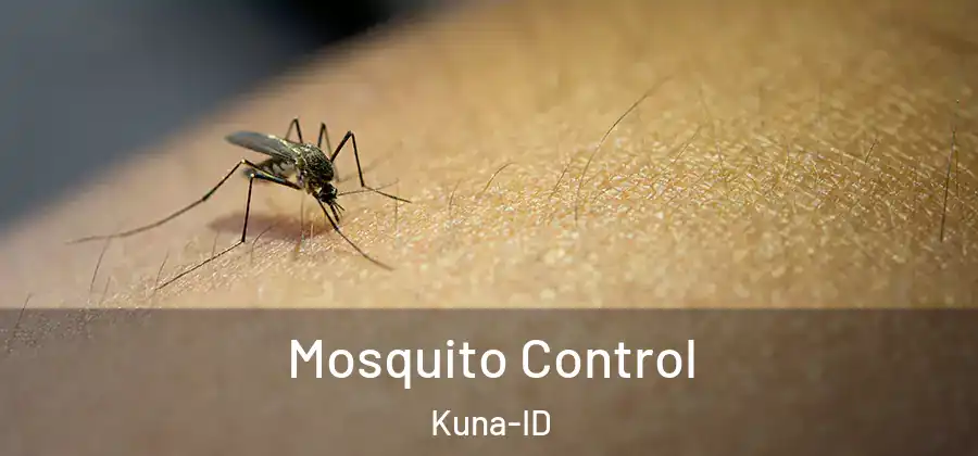 Mosquito Control Kuna-ID