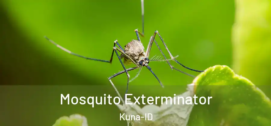  Mosquito Exterminator Kuna-ID